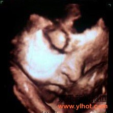 �º���Ů����B����